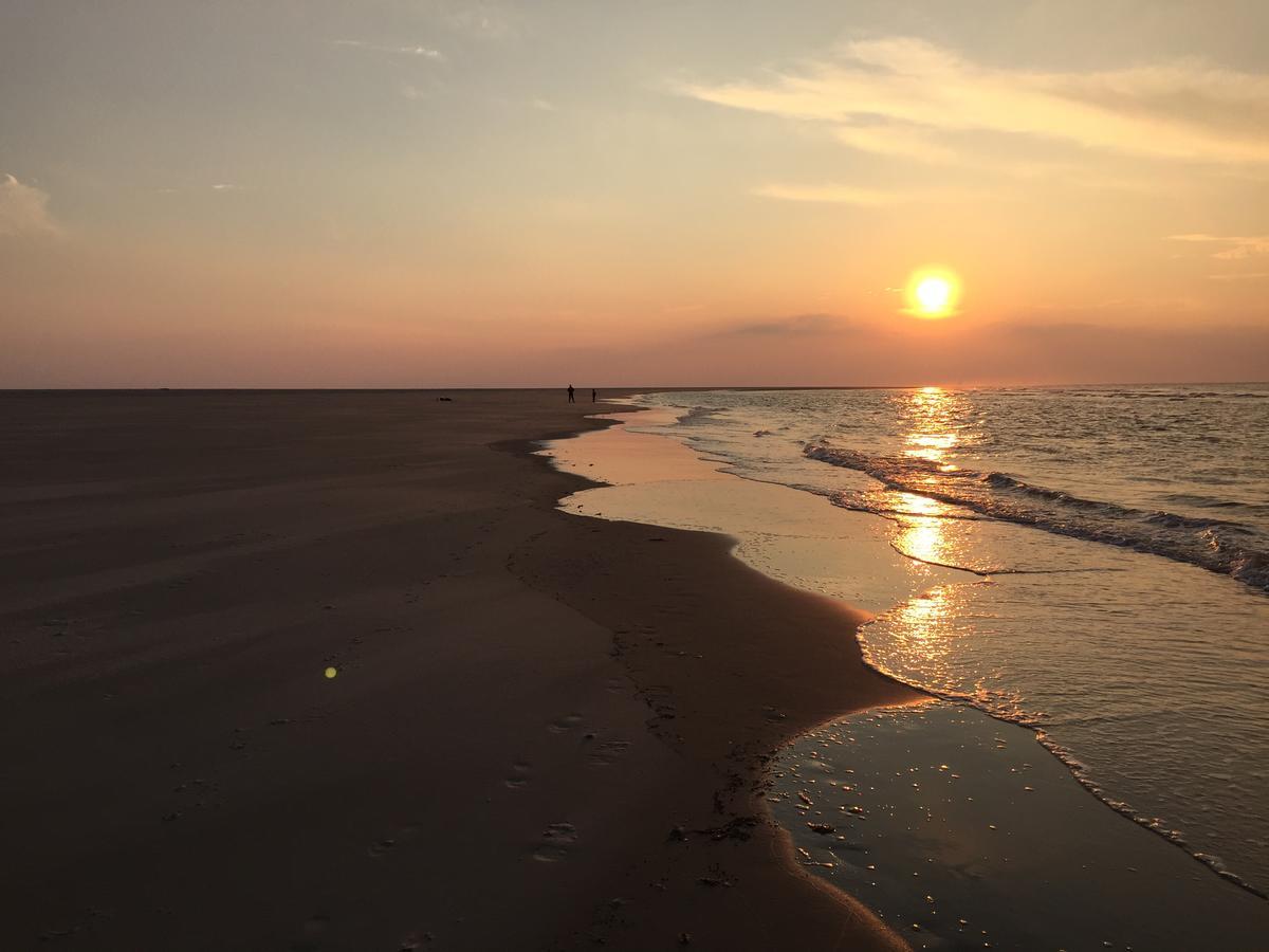 Austernfischer Fewo I Borkum Exteriér fotografie